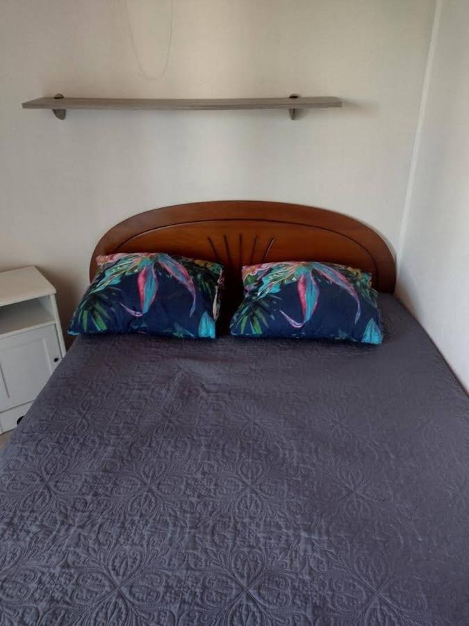 Appartement Saint Cyprien Plage 6 Couchages Εξωτερικό φωτογραφία